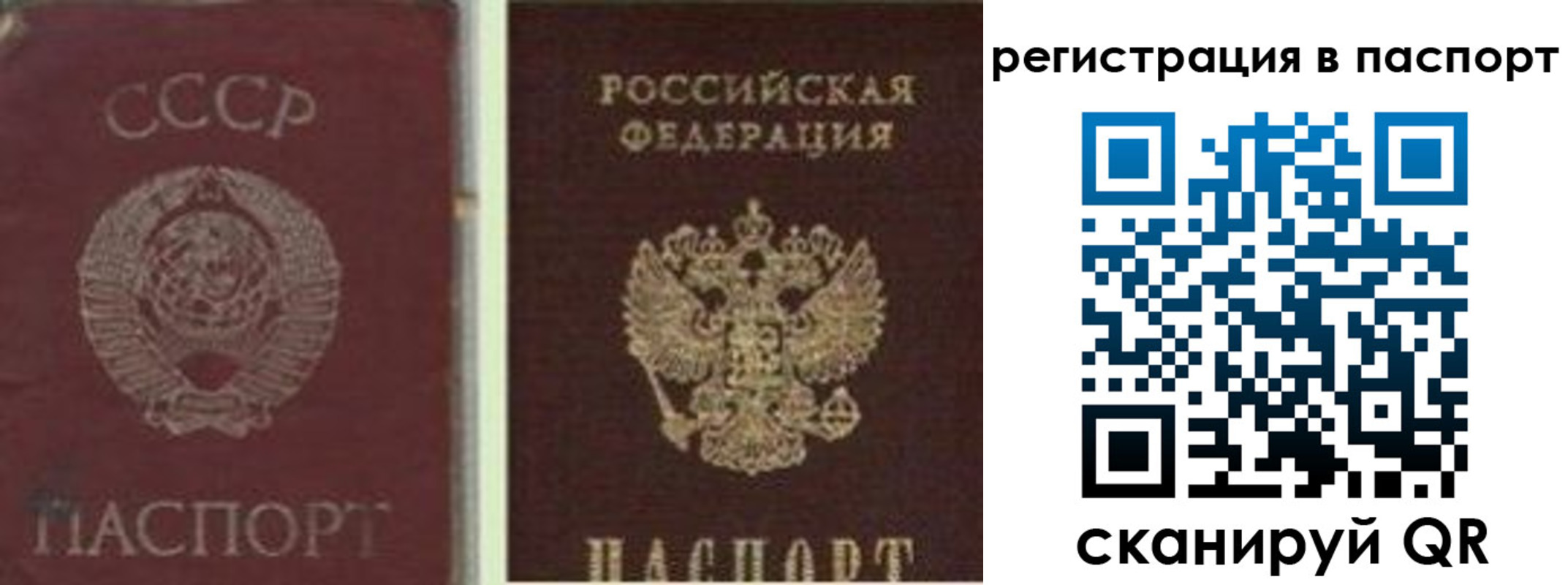 прописка для школы в Выборге